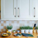 10 Pack Polished Nickel Cabinet Pulls 8 Inch(203Mm) Hole Center Cabinet Hardware Kitchen Cabinet Handles for Bathroom Drawer Pulls Dresser Pulls.