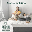 ZINUS 12 Inch Support plus Pocket Spring Hybrid Mattress, Twin, Strong Coils For