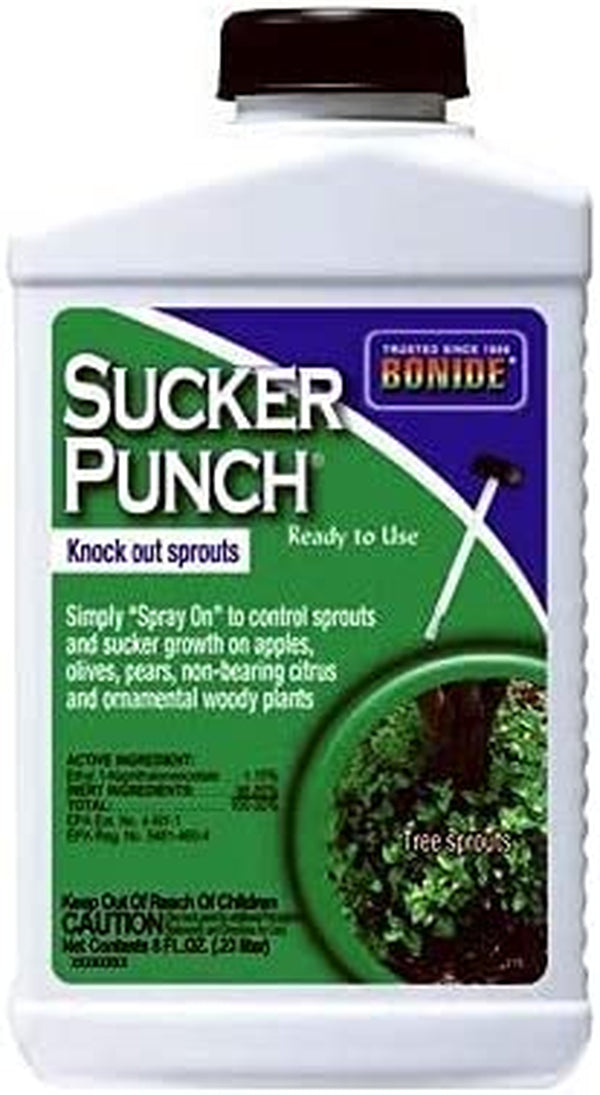 Sucker Punch Knock Out Sprouts Brush Applicator