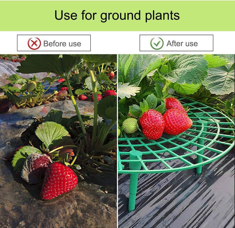 Strawberry Support Strawberry Growing Frame 10 Pack Potted Plant Supports Sturdy Plant Holders Keeping Fruit Elevated to Avoid Ground Rot