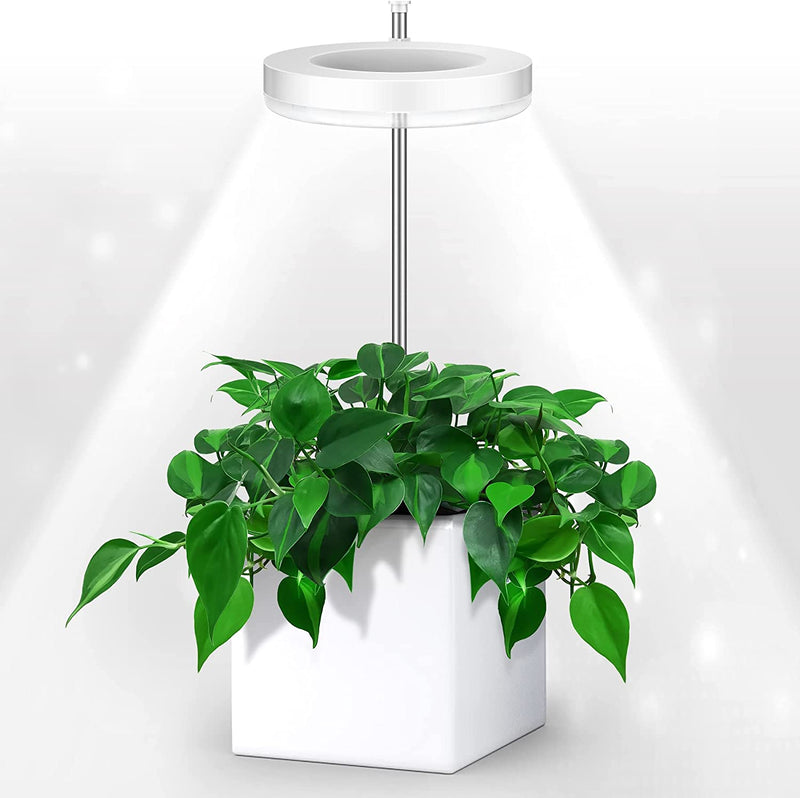 Grow Lights for Indoor Plants, Ewonlife Small Plant Lights Full Spectrum, LED Growing Lamp with Smart Timer, Height Adjustable, 3 Spectrum Modes with Warm White, Blue, Red, for House Growth
