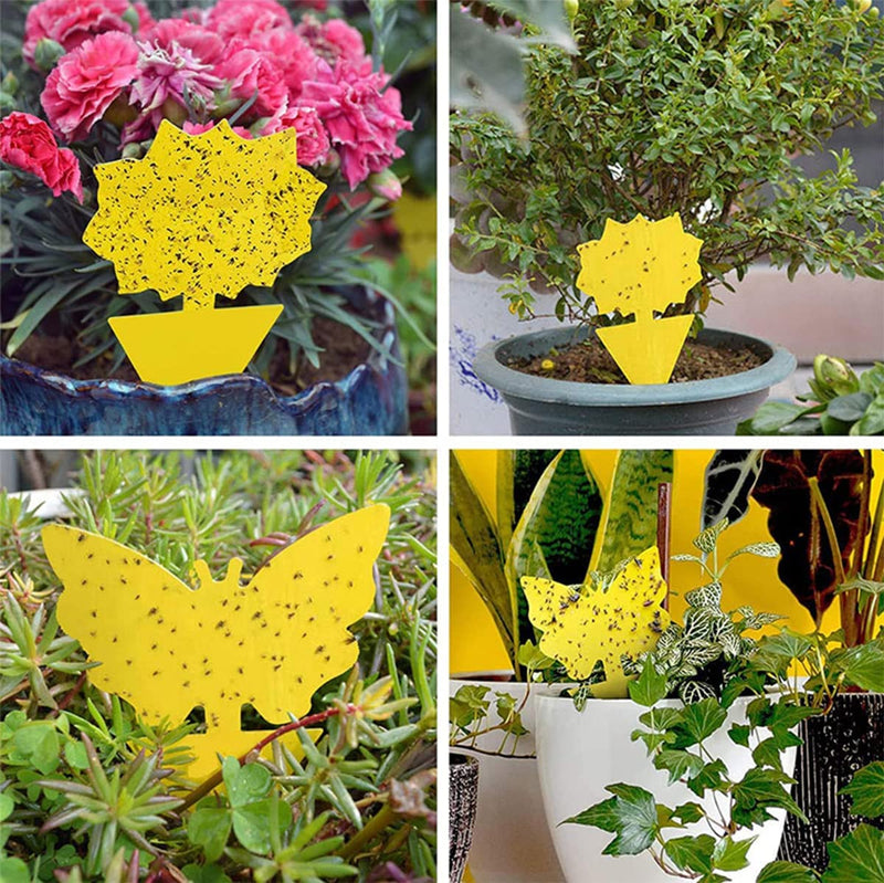 24Pcs Sticky Traps Fruit Fly Gnat Trap Yellow Sticky Bug Trap for Indoor Outdoor Use Insect Pest Control Garden Strong Glue Plant Non-Toxic