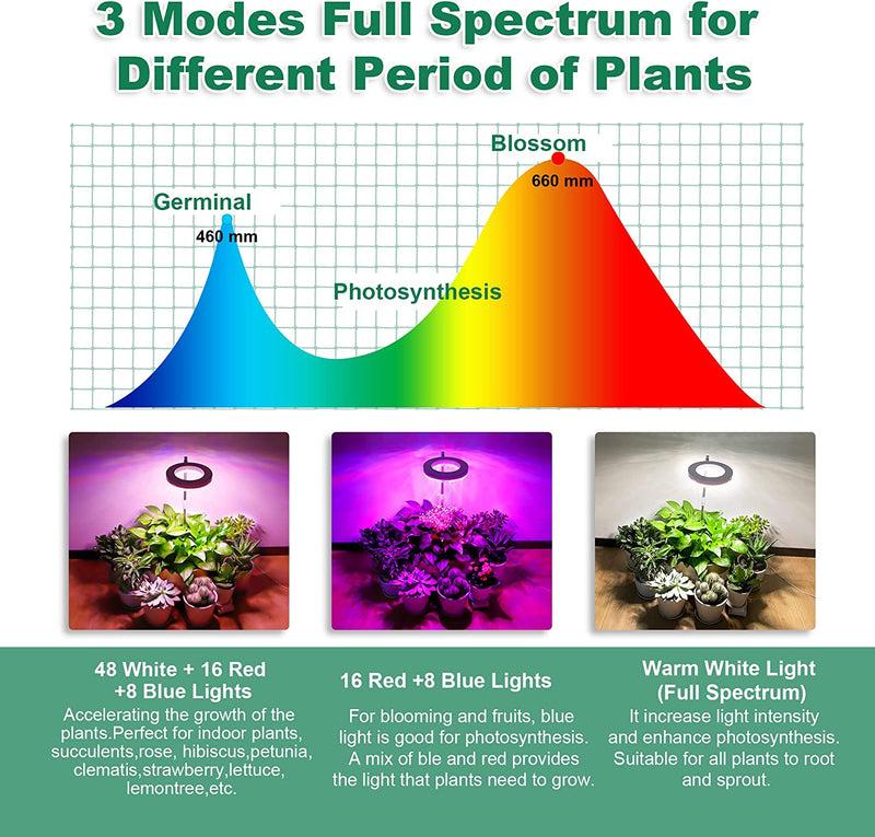 Grow Lights for Indoor Plants, Ewonlife Small Plant Lights Full Spectrum, 2 Pack LED Growing Lamp with Smart Timer, Height Adjustable, 3 Spectrum Modes with Warm White, Blue, Red, for House Growth