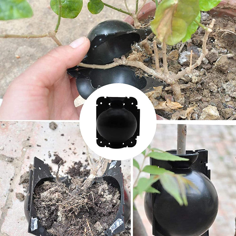 Plant Rooting Device Valuehall 6 Pcs High Pressure Propagation Ball Plant Root Growing Box Assisted Cutting Rooting Growing Breeding Case for Plants Fruit Trees Vegetables Pots Plants in Garden V7J04 (L)