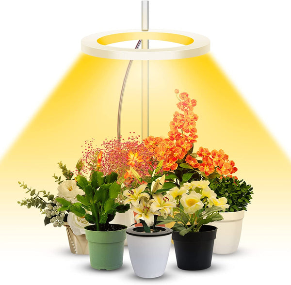 Grow Lights for Indoor Plants,Full Spectrum LED Plant Halo Lights Height Adjustable Growing Lamps with Auto On/Off Timer 8/12/16 H , 4 Dimmable Brightness,Ideal for Small House Plants Indoors Live