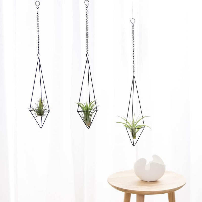 Dahey Hanging Air Plant Holder- 4 Pack, 2 Sizes Metal Airplant Rack Tillandsia Hanger Display Himmeli Gemometric Planter with Chains Rustic Home Decor, Bronze