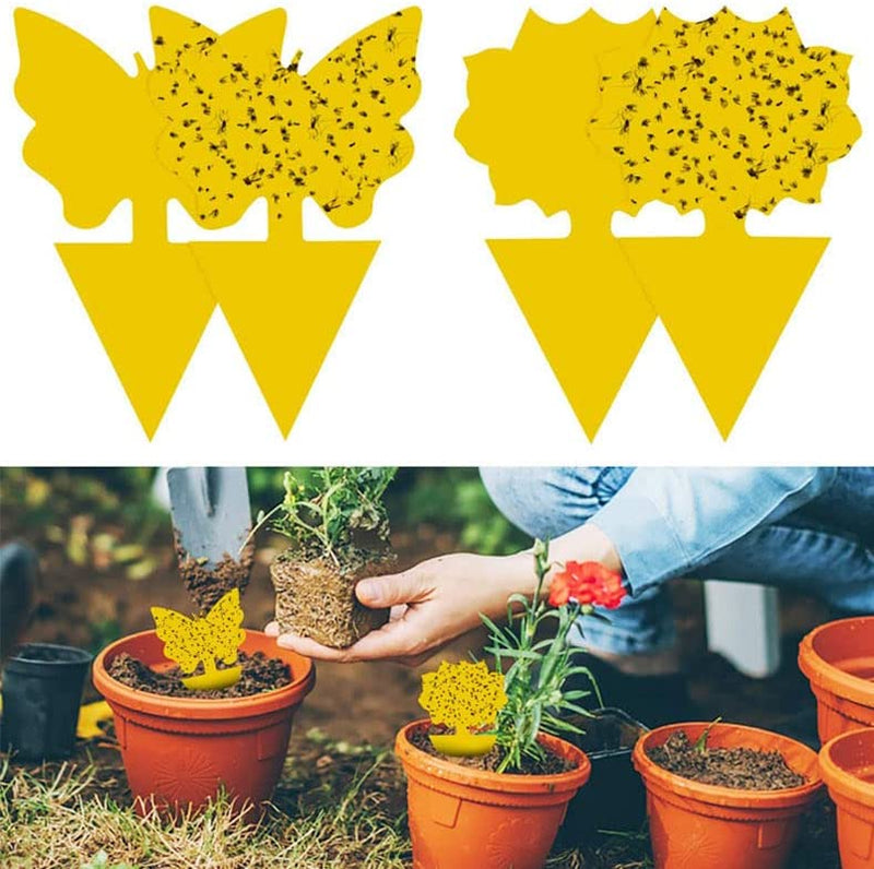 24Pcs Sticky Traps Fruit Fly Gnat Trap Yellow Sticky Bug Trap for Indoor Outdoor Use Insect Pest Control Garden Strong Glue Plant Non-Toxic