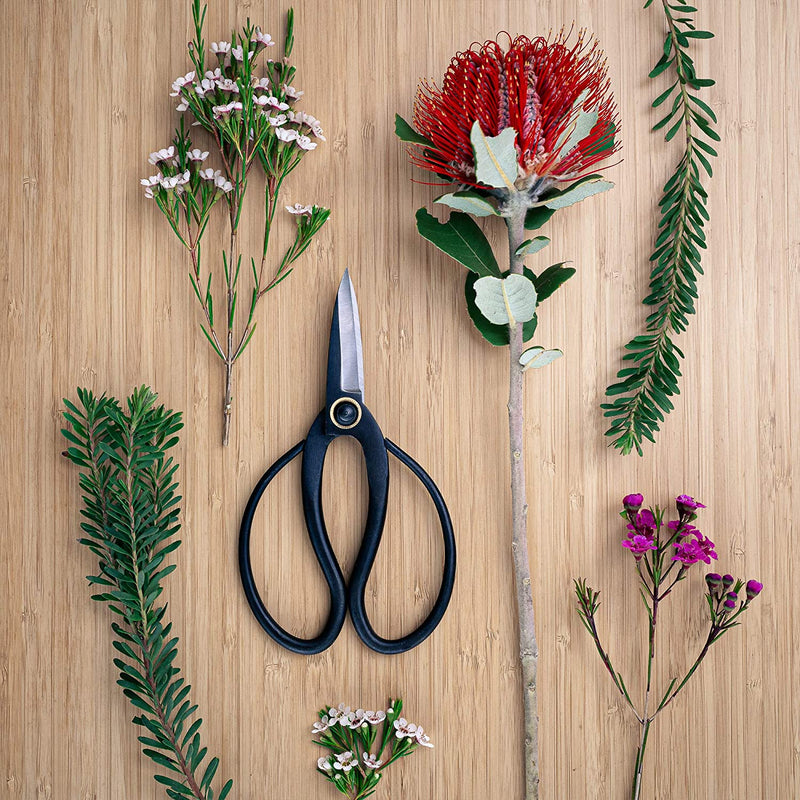 Dandelion Home Garden Bonsai Scissors for Home Gardening and Arranging Flowers, Carbon Steel Professional Plant Cutter for Trimming, Pruning, and Shearing