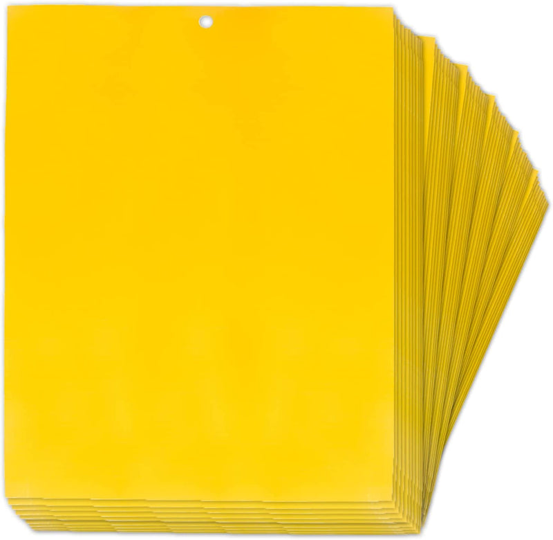 Yellow Sticky Traps Valuehall 60 Pcs Dual-Sided Fruit Fly Traps 8 X 6 Inch Sticky Bug Traps with Twist Ties for Capturing Flying Plant Insects like Fungus Gnats Flying Aphid Whiteflies V7F04