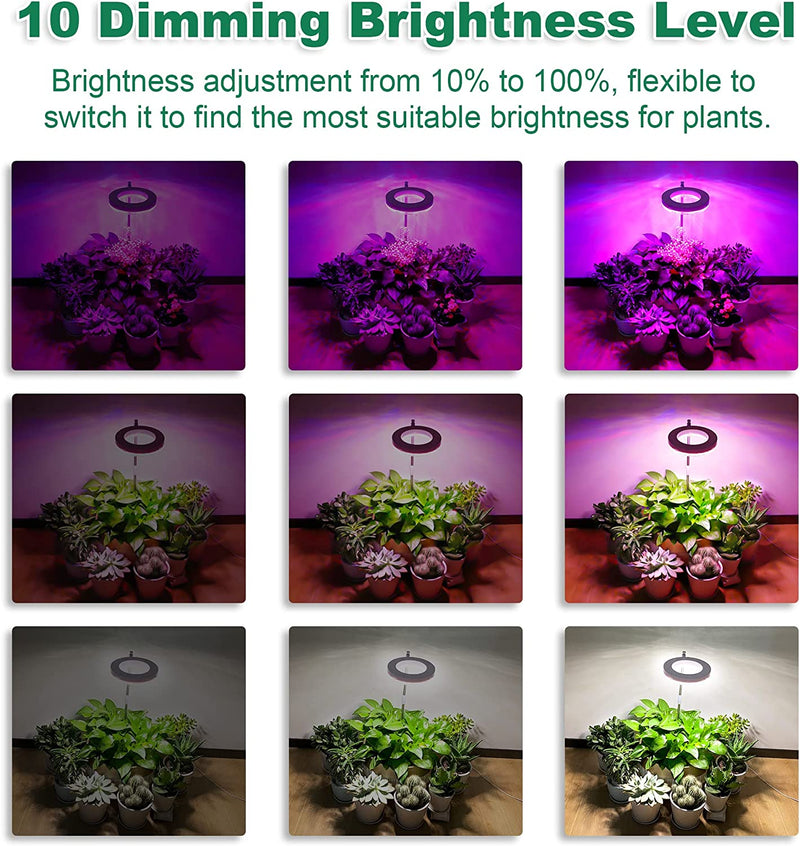 Grow Lights for Indoor Plants, Ewonlife Small Plant Lights Full Spectrum, 2 Pack LED Growing Lamp with Smart Timer, Height Adjustable, 3 Spectrum Modes with Warm White, Blue, Red, for House Growth