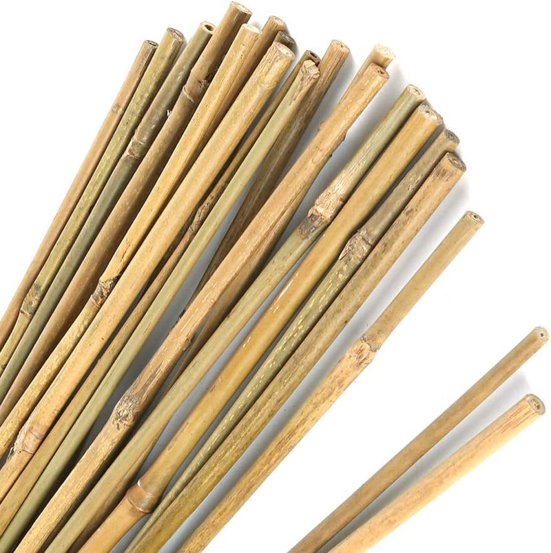 Pllieay 1.33'/16 Inch Natural Thick Bamboo Stakes Garden Stakes for Indoor Gardening Plant Supports