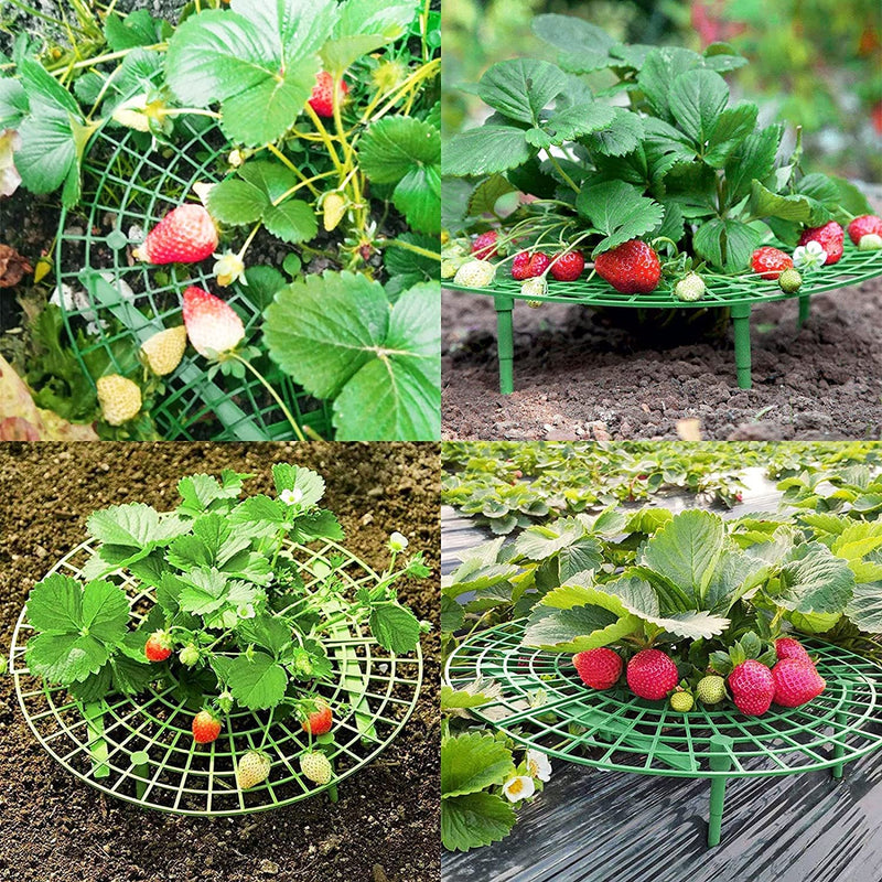Strawberry Support Strawberry Growing Frame 6 Pack Potted Plant Supports Sturdy Plant Holders Keeping Fruit Elevated to Avoid Ground Rot