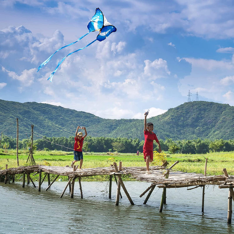 3PCS Kite with Launcher Toy, Kite Launcher with 3 Kites Beach Toy