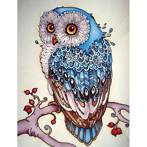 DIY 5D Full Diamond Owl Embroidery Rhinestone Diamond Painting Kit Cross Stitch Arts Craft Supply for Home Wall Decor,16x 12inches.