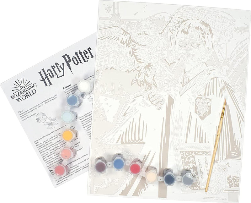 Dimensions PaintWorks Hedwig and Harry Potter Paint by Number Kit for