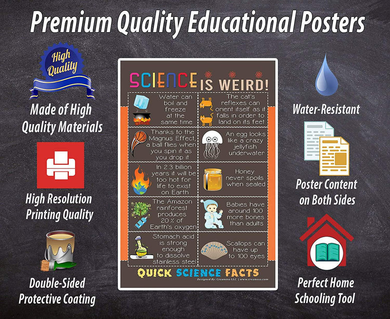 Fun Science Educational Learning Posters (6-Pack)