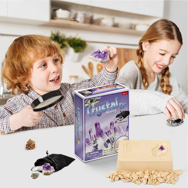 Gemstone Dig Kit for Kids-Dig Up 5 Real Gems, Kids Geographic Science Kit Gemstones and Crystals Dig Kit,Educational Toys, Great Gift for Girls and Boys, Science Kits for Kids Age 8-12