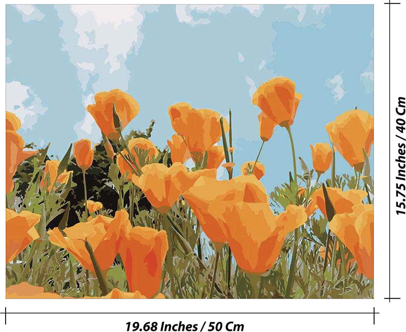 Likeyfactory Paint by Numbers Kit for Adults Kids on Canvas with Paintbrushes Color Acrylic DIY Drawing Premium Quality Colorwork Paintwork California Poppy Flowers 16x20inch
