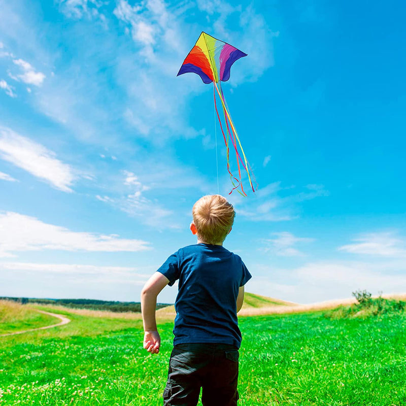 Motiloo Delta Kite for Kids and Adults, Extremely Easy to Fly Kite with 1 Ribbons and 300ft Kite String, Best Kite for Beginner Beach Kites Flyer for Outdoor Activities for Kids (Rainbow Kite)