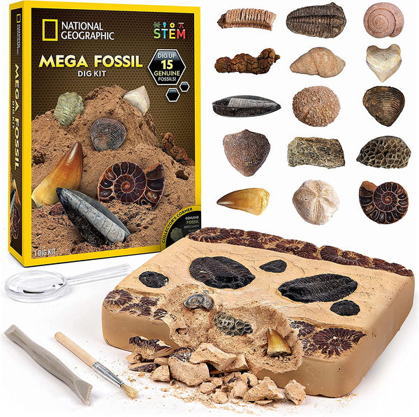 National Geographic Mega Fossil Dig Kit Excavate 15 Real Fossils Including Dinosaur Bones, Educational Toys, Great Gift for Girls and Boys, an Exclusive Science Kit
