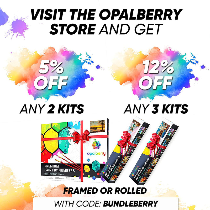 Opalberry Premium Paint by Numbers Kits