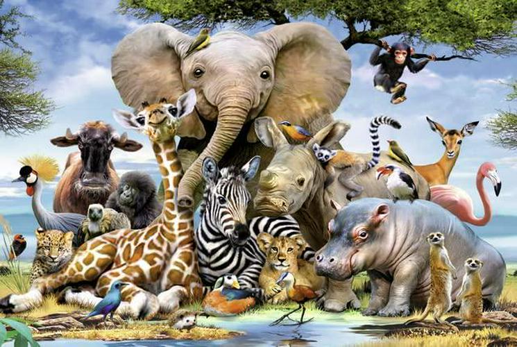 Ravensburger 13075 Favourite Wild Animals Puzzle 300Pc, Children&