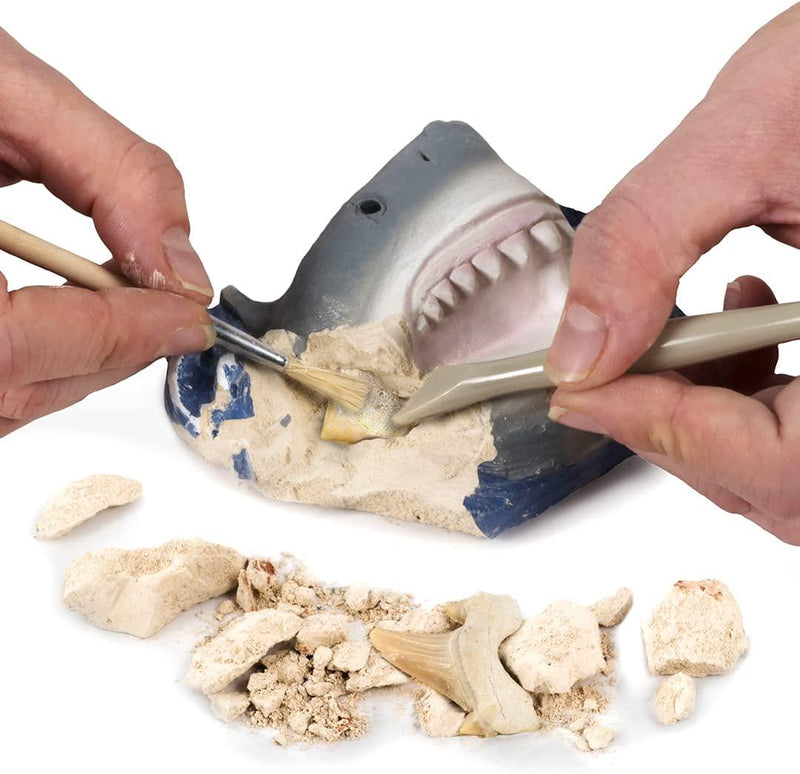Shark Tooth Dig Kit - by National Geographic