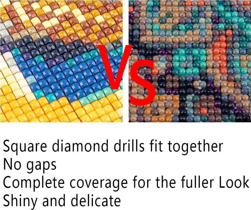 DCIDBEI 5D Diamond Painting Full Drill Clearance,Diamond DIY Kits