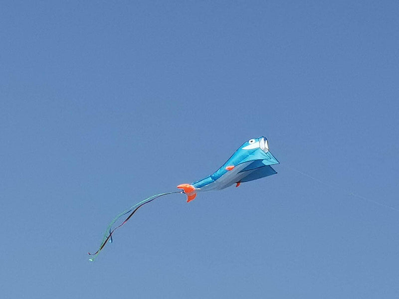 Sutekus Kites Large Dolphin Beach Kites with Kite Line Winder Frameles