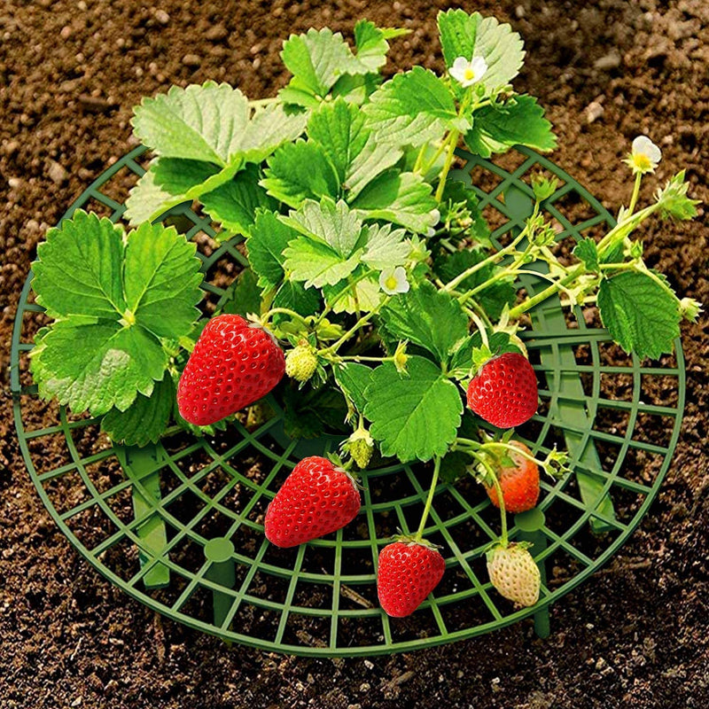 Strawberry Support Strawberry Growing Frame 10 Pack Potted Plant Supports Sturdy Plant Holders Keeping Fruit Elevated to Avoid Ground Rot