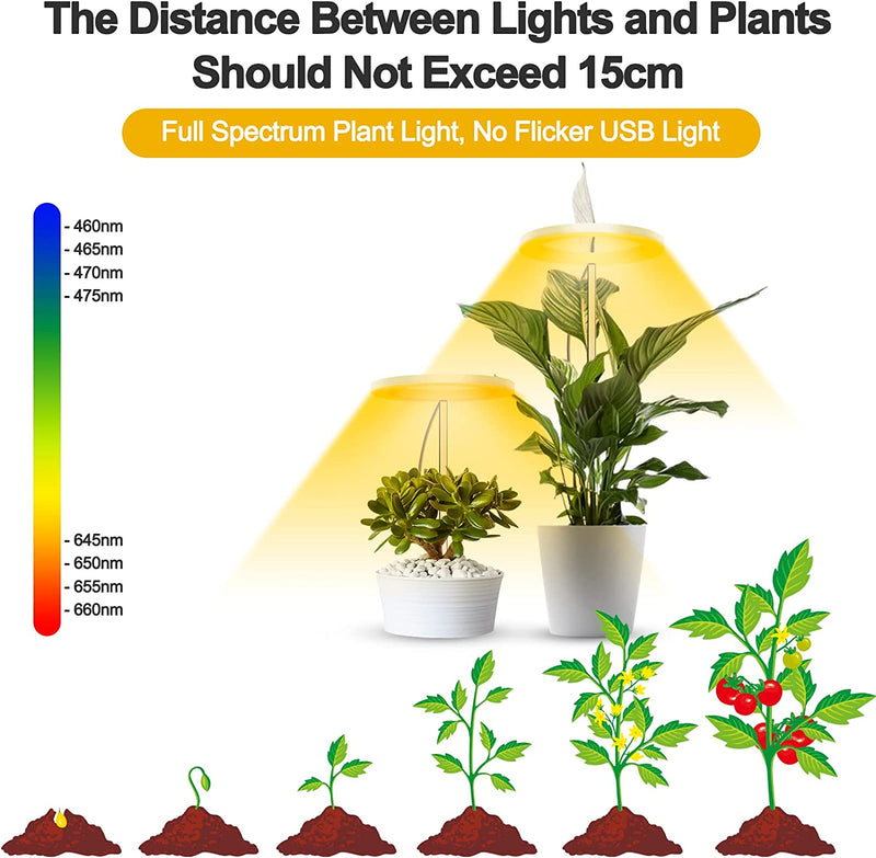 Grow Lights for Indoor Plants,Full Spectrum LED Plant Halo Lights Height Adjustable Growing Lamps with Auto On/Off Timer 8/12/16 H , 4 Dimmable Brightness,Ideal for Small House Plants Indoors Live