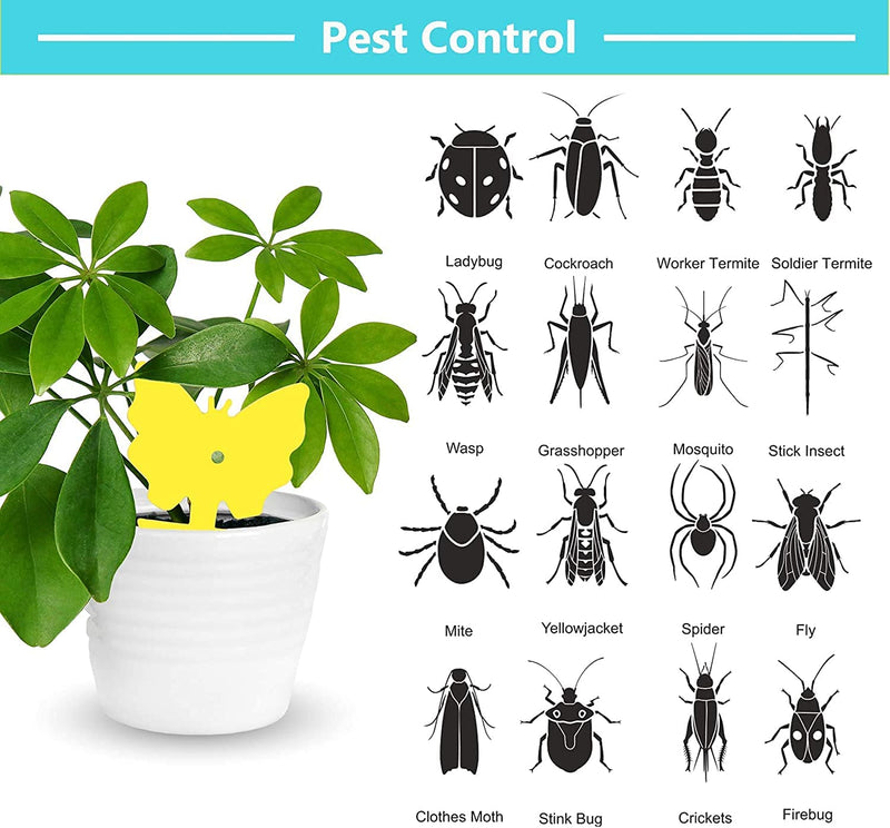 36 PCS Fruit Fly Trap Yellow Sticky Fungus Gnat Killer for Indoor and Outdoor Plant Insect Catcher for White Flies Mosquitos Fungus Gnats Flying Insects Houseplant Gift for Flower Lover