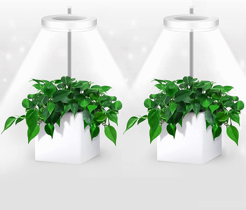 Grow Lights for Indoor Plants, Ewonlife Small Plant Lights Full Spectrum, 2 Pack LED Growing Lamp with Smart Timer, Height Adjustable, 3 Spectrum Modes with Warm White, Blue, Red, for House Growth