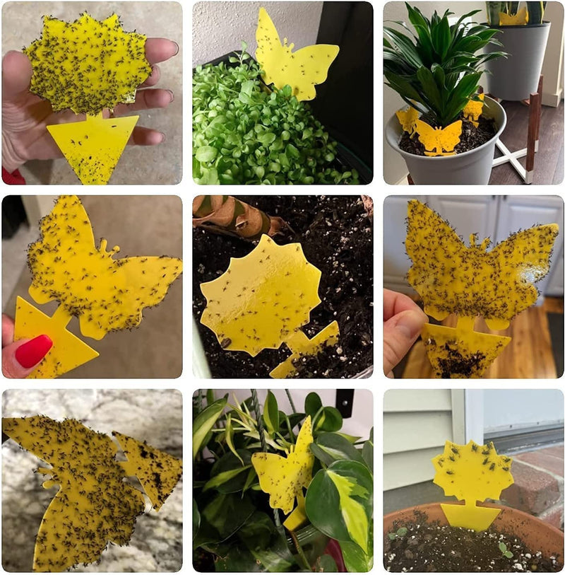 48PCS Double-Sided Sticky Traps Plant Traps for Fruit Fly, Whitefly, Fungus Gnat, Mosquito and Bug, Yellow Pest Insect Catcher Killer for Indoor Outdoor Kitchen Garden
