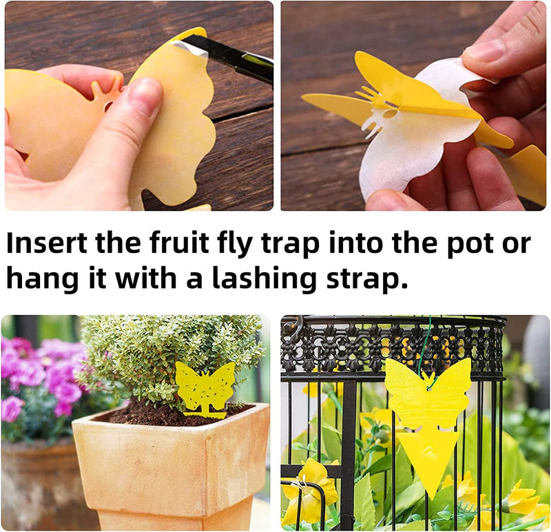 Yellow Sticky Traps Valuehall 60Pcs Dual-Sided Sticky Fruit Fly Traps and Gnat Traps for Indoor and Outdoor Fungus Gnats Fruit Flies Mosquitoes Flying Insects Ant V7I02