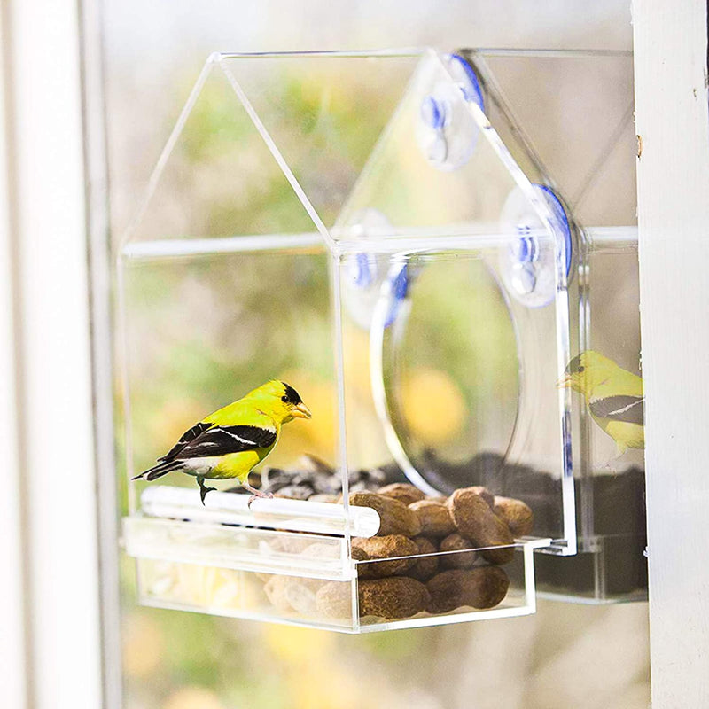 Valuehall Window Bird Feeder Window Bird House Crystal Clear Acrylic with Removable Tray Drain Holes and 4 Strong Extra Suction Cups for Wild Birds, Finch, Cardinal and Bluebirds V7D07