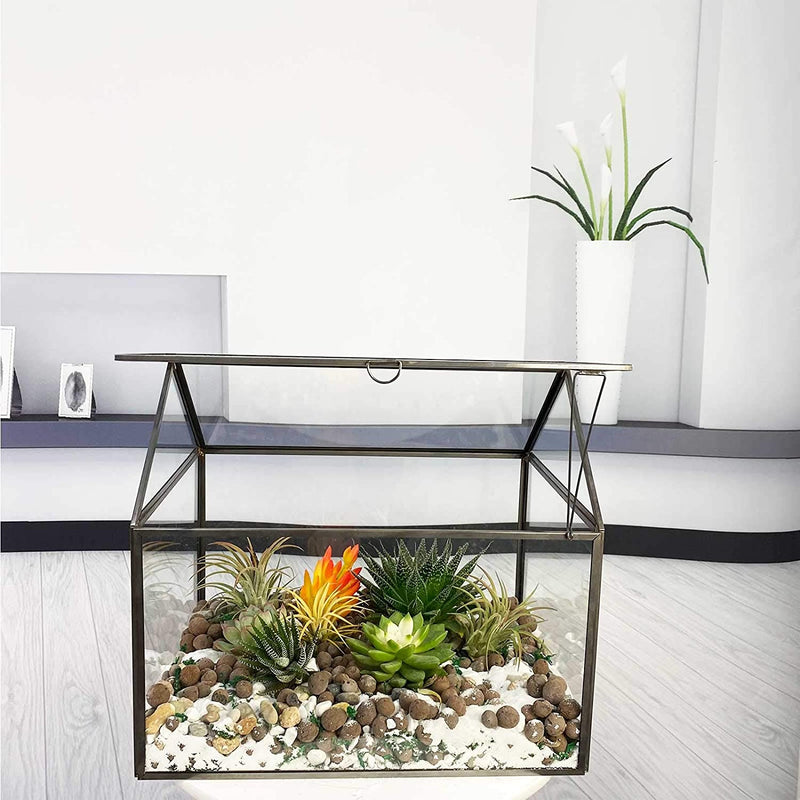 Large Tall Glass Plant Terrarium – House Succulent Glass Terrarium Kit