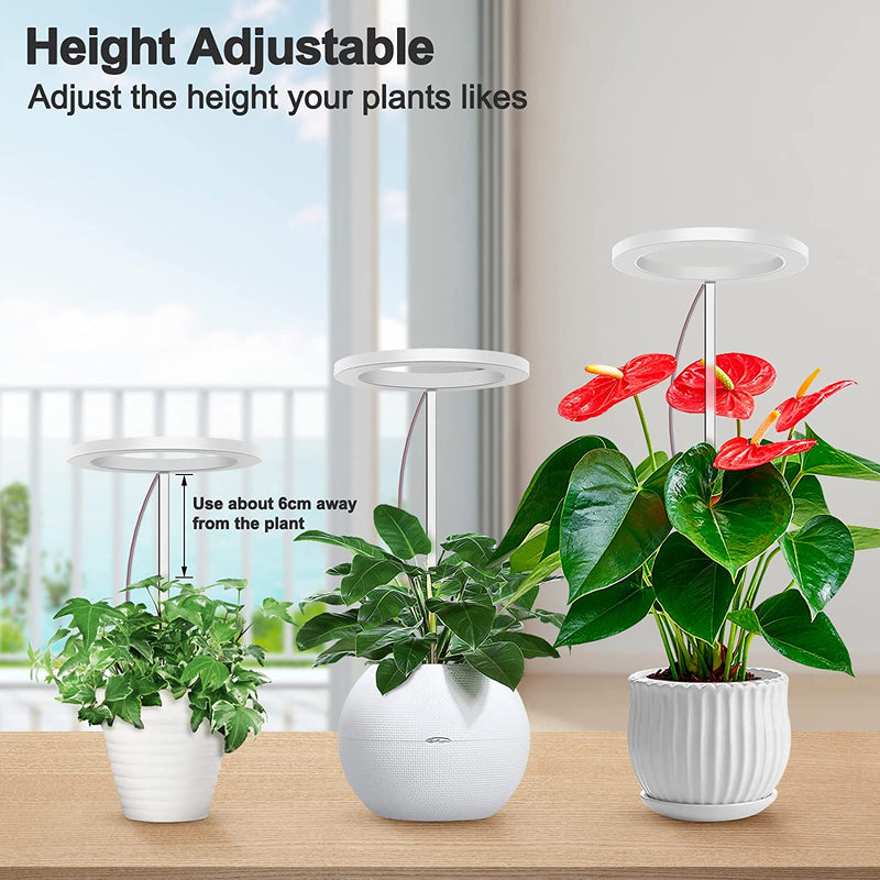 Grow Lights for Indoor Plants,Full Spectrum LED Plant Halo Lights Height Adjustable Growing Lamps with Auto On/Off Timer 8/12/16 H , 4 Dimmable Brightness,Ideal for Small House Plants Indoors Live