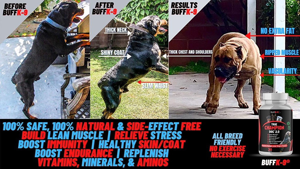 true-champion-dog-2-0-complete-dog-muscle-builder-supplement-vet-nutritionist-02-5e02d8c563d7fc00c24f7254ff7e8b9b.jpg