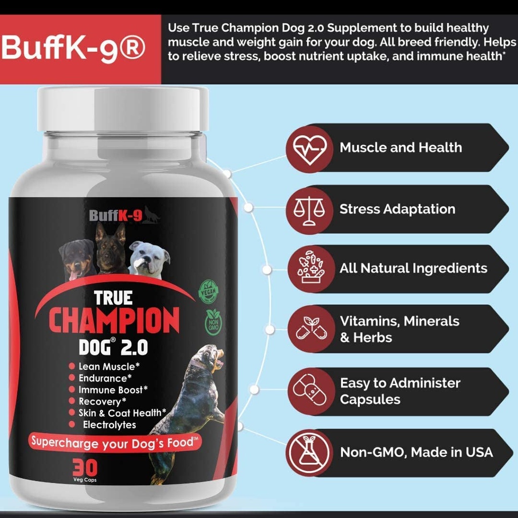 true-champion-dog-2-0-complete-dog-muscle-builder-supplement-vet-nutritionist-03-0bb365596c8706c536e8bb4a9a26894b.jpg