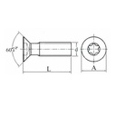 20x-m2-m2-5-m3-m3-5-m4-m5-torx-screws-for-replace-carbide-blades-cnc-lathe-tools-02-c5d49c22f5fb911bd21f982b58e2a05d.jpg