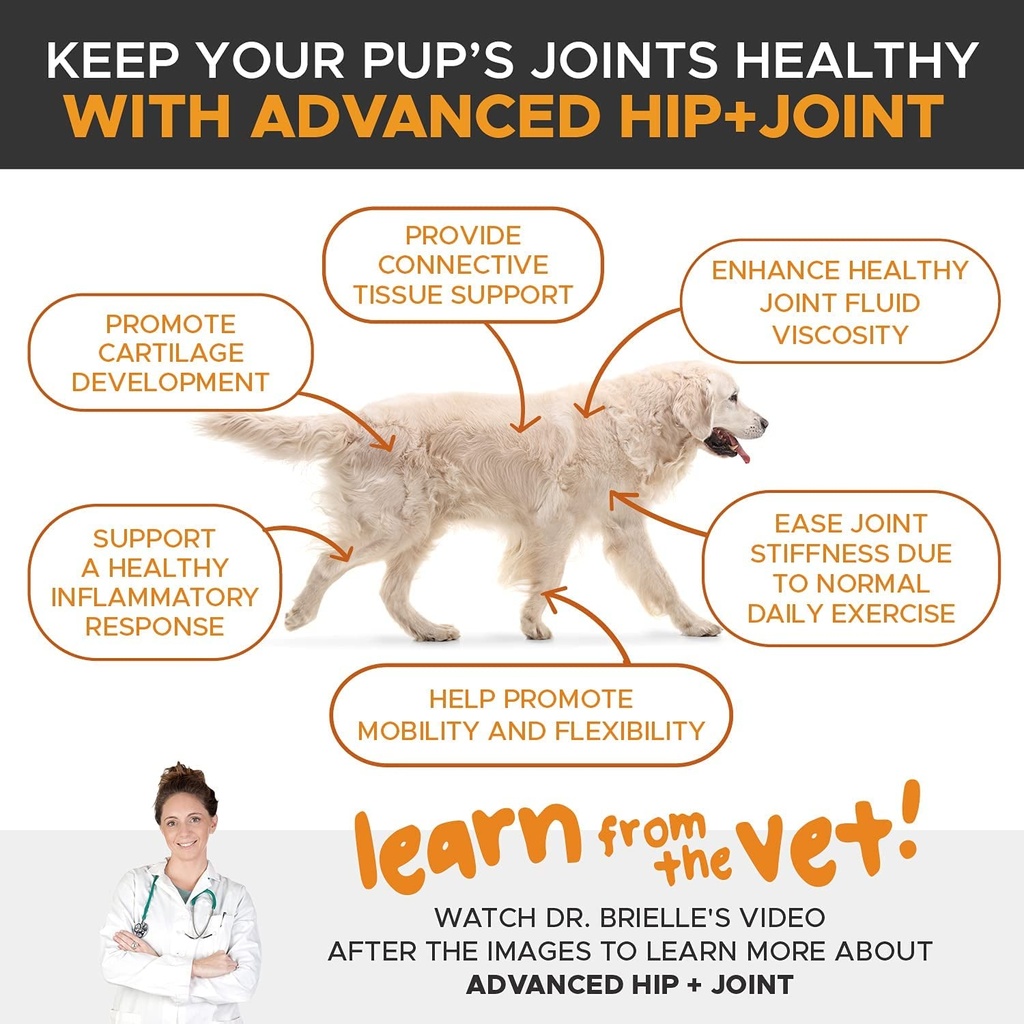 2-pack-pethonesty-advanced-hip-joint-dog-joint-supplement-support-for-dogs-w-03-2357ca4e15d1c97ff332decf3477738f.jpg