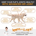 2-pack-pethonesty-advanced-hip-joint-dog-joint-supplement-support-for-dogs-w-03-2357ca4e15d1c97ff332decf3477738f.jpg
