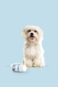 puppz-eyes-eye-health-dog-vitamin-supplement-60-tablets-made-in-usa-03-07d06d8feb88b31160846e9630e76dc4.jpg