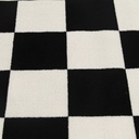 mainstays-36x56-black-and-white-check-indoor-area-rug-07-069fe16e701ff885e3fcc26bacb6d9d8.jpg