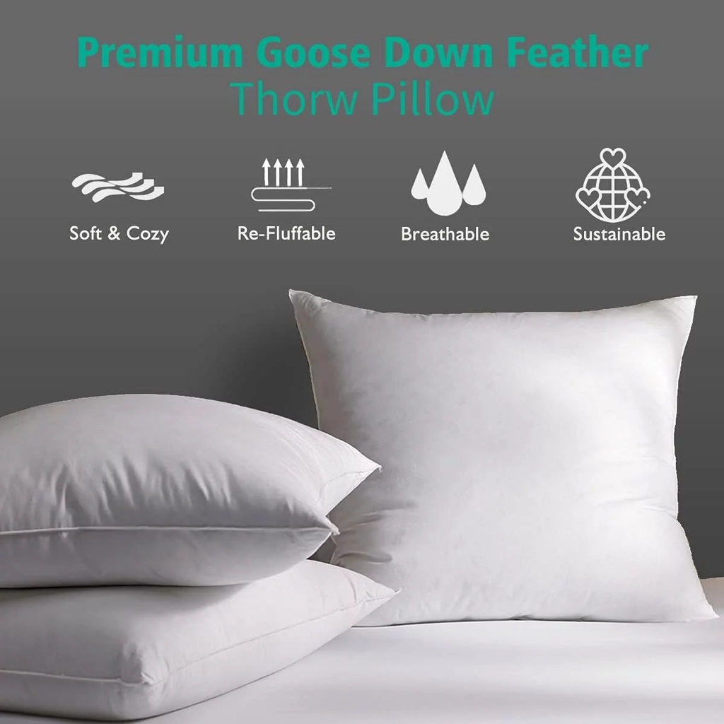 apsmile-16x16-goose-feather-down-throw-pillow-inserts-set-of-2-premium-soft-cotton-euro-square-decorative-pillow-core-set-indoor-bed-and-couch-pillows-white-2-pack-03-25c7e6f88ab8c8d7940d4b48a0860777.jpg