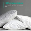 apsmile-16x16-goose-feather-down-throw-pillow-inserts-set-of-2-premium-soft-cotton-euro-square-decorative-pillow-core-set-indoor-bed-and-couch-pillows-white-2-pack-05-3aaf2f6a1d3f5ceeaf4095ed5f6700ab.jpg
