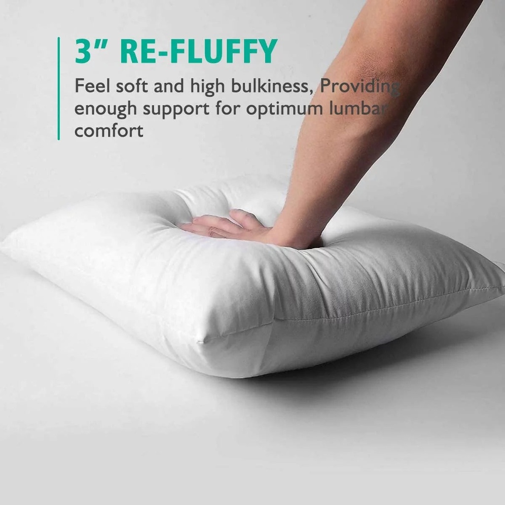 apsmile-16x16-goose-feather-down-throw-pillow-inserts-set-of-2-premium-soft-cotton-euro-square-decorative-pillow-core-set-indoor-bed-and-couch-pillows-white-2-pack-07-a43bbb01bc12a81bb2e190330f344f09.jpg