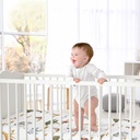 jungle-2-pack-fitted-crib-sheet-boy-or-girl-gender-neutral-unisex-by-sweet-jojo-designs-04-111c10979a79d494007e9b5bb16218f6.jpg