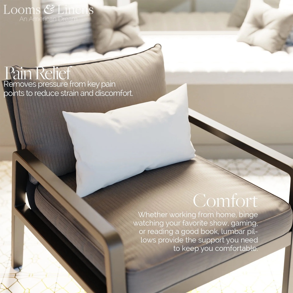 12x22-inch-lumbar-pillow-insert-by-looms-and-linens-with-down-alternative-boudoir-pillow-usa-made-lumbar-pillow-pack-of-1-05-1dc5015d2360c2d95972b59e0b6e3ca2.jpg